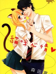猫咪心情