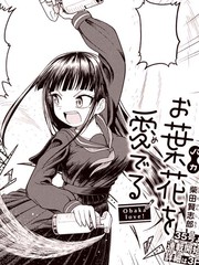 恋上笨蛋叶花