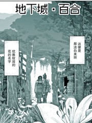 公开城·百合