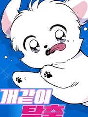 狗狗末日生存法