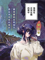 在龙的胃中休息