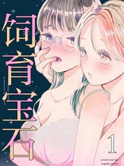 饲育宝石